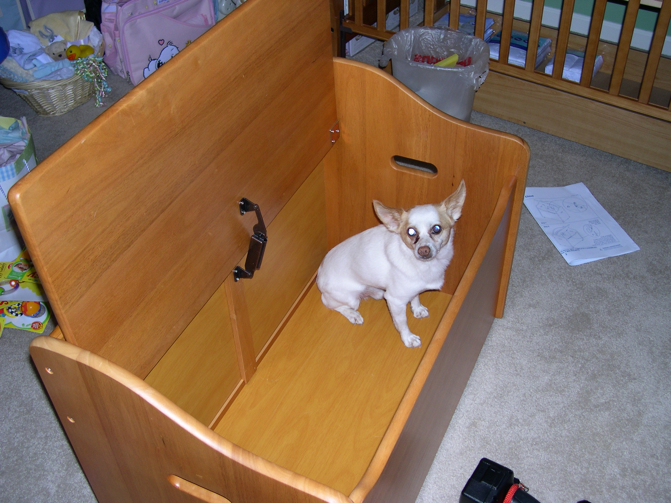 Keanu's checking out the toybox!