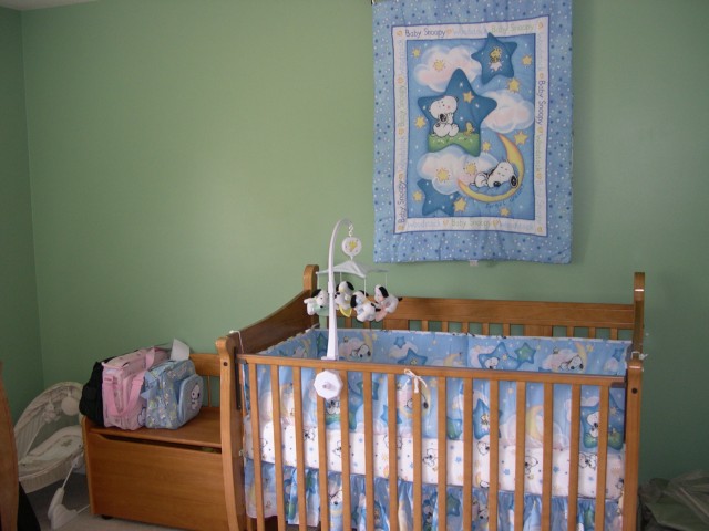 Crib and toybox