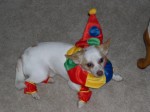 Halloween 2004