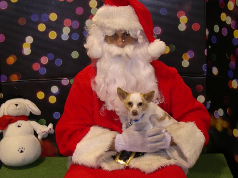 Keanu and Santa.jpg